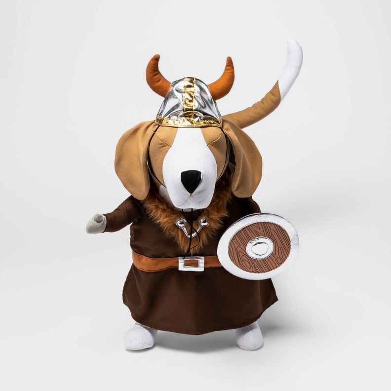 A Viking Costume: Hyde & EEK! Boutique Viking Dog Costume Frontal