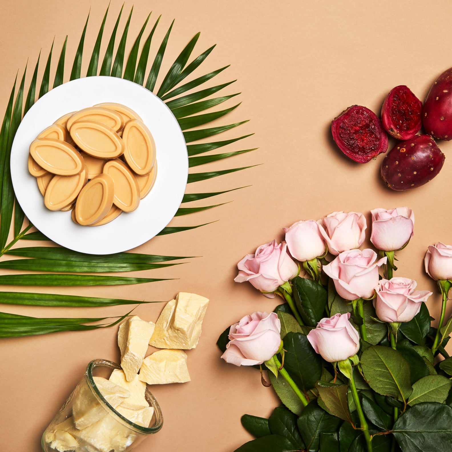 Lush Sustainable Naked Skincare Collection POPSUGAR Beauty
