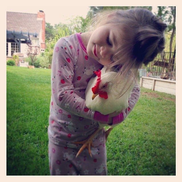 Harper Smith gave a little love to her chicken, Rose.
Source: Instagram user tathiessen