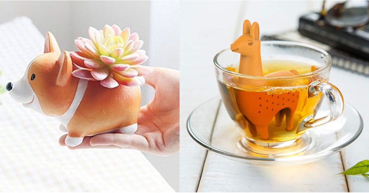 Cool Cheap Gifts From Amazon POPSUGAR Smart Living UK