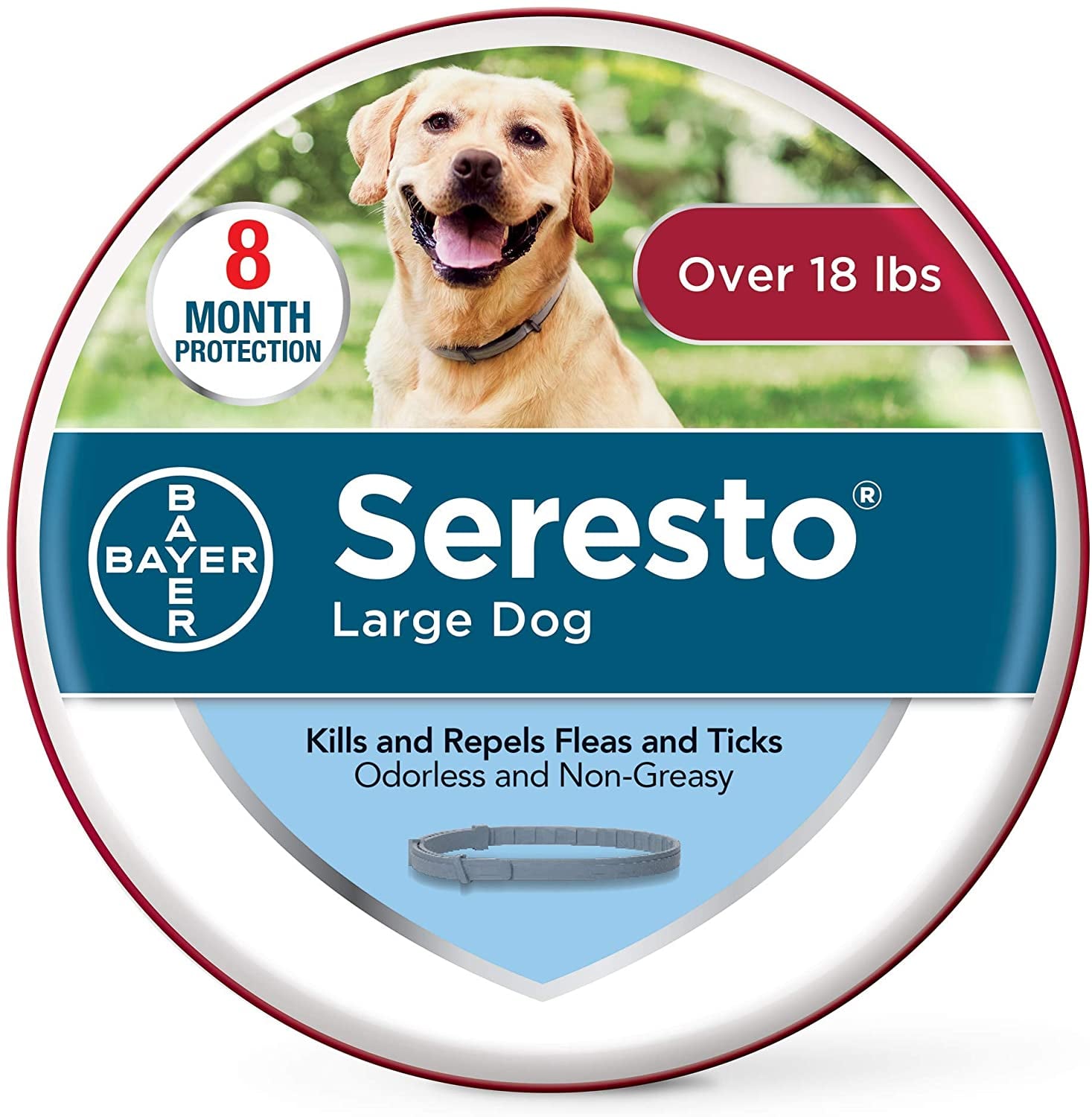 Seresto Flea and Tick Dog Collar Review POPSUGAR Pets