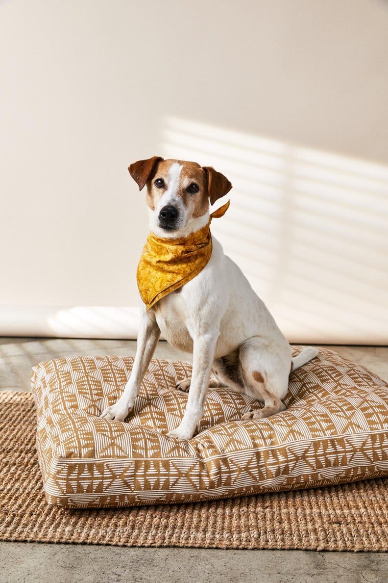 House of Harlow 1960 Creator Collab Goldenrod Batik Dog Bandana