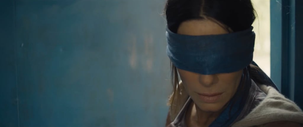 Bird Box Netflix Movie Memes