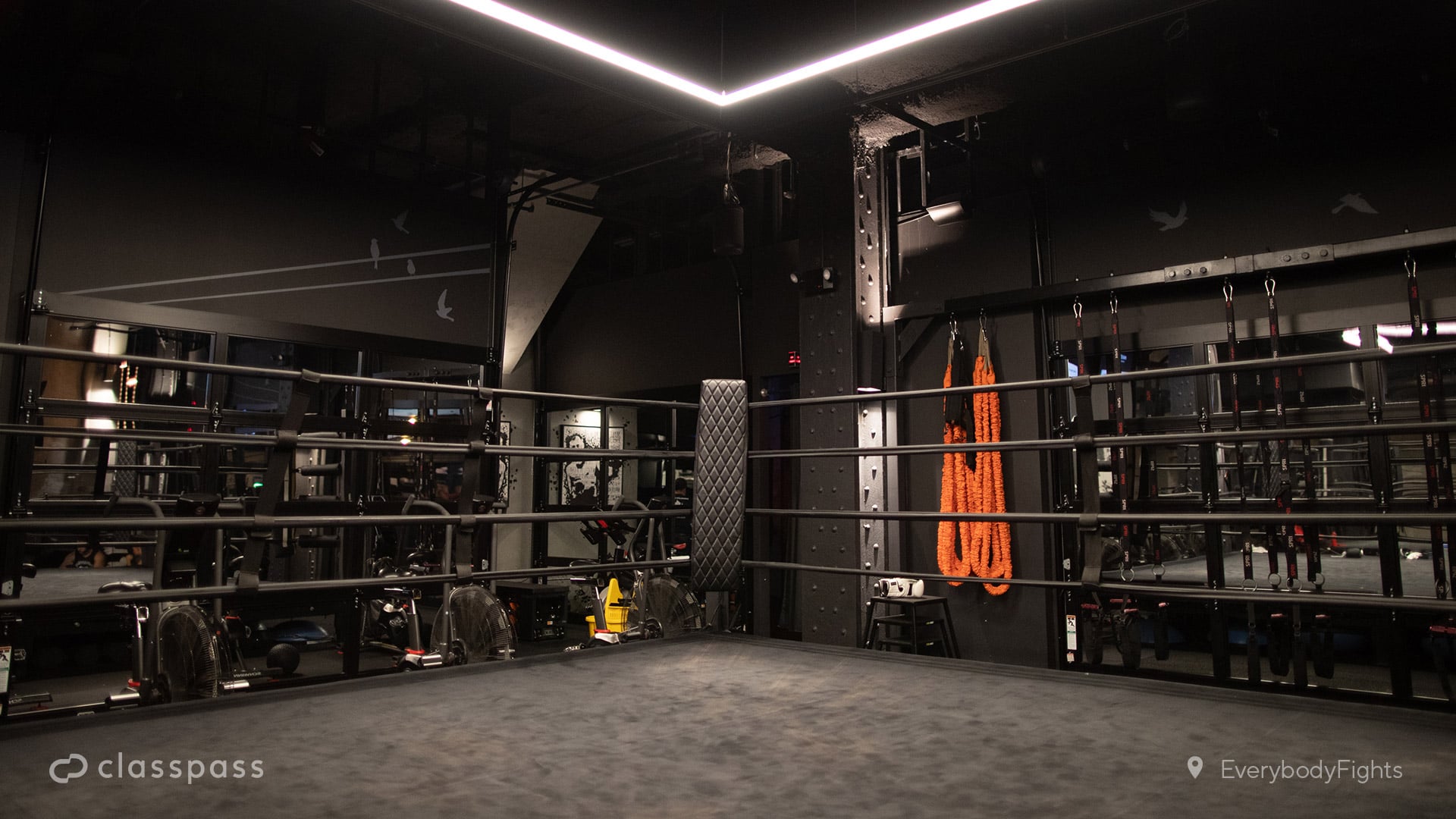Boxing Ring Zoom Background | These Gym-Style Zoom Backgrounds Will Make  Your Virtual Workout Feel Like the Real Deal | POPSUGAR Fitness Photo 7