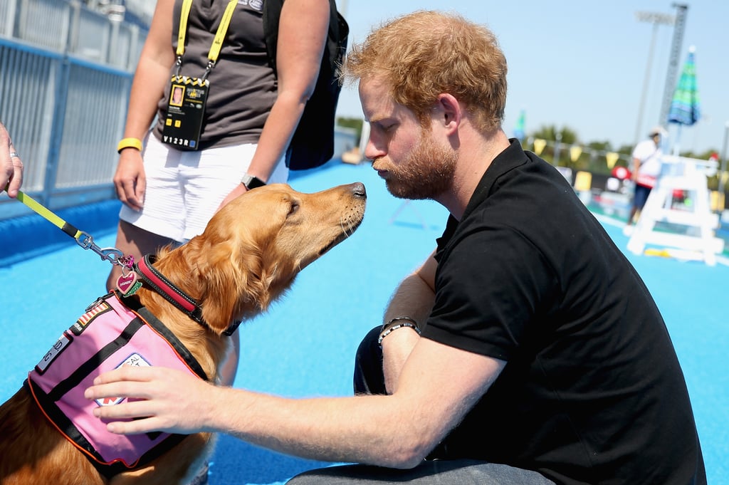 Prince Harry was at it again with yet another handsome outing. Harry was spotted visiting venues in Orlando, FL, just days before his Invictus Games in May 2016. While touring the ESPN Wide World of Sports complex, he turned on his signature charm as he met with members of the Italian Invictus Games team, a few children, and a medical alert dog, who clearly won over Harry's heart. The Paralympic-style games for wounded veteranss opened on Sunday, reunited Michelle Obama and Joe Biden's wife, Jill. Keep reading for more photos, then check out 49 snaps that prove Prince Harry was born to wear a uniform.