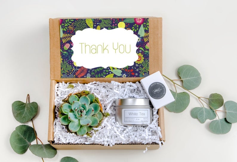 Succulent Gift Box