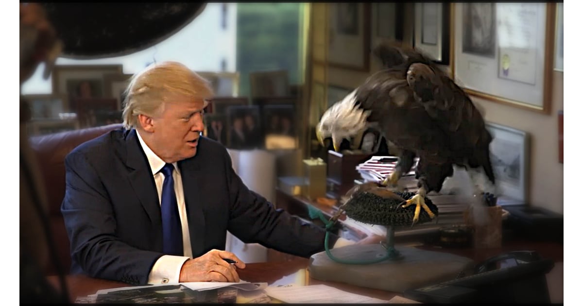 Bald Eagle Attacks Donald Trump | POPSUGAR News