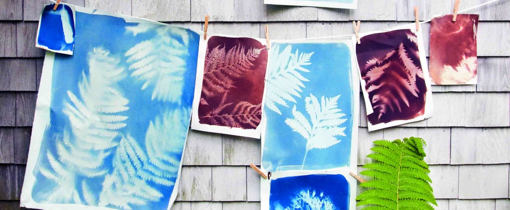 How to Make Sunprints