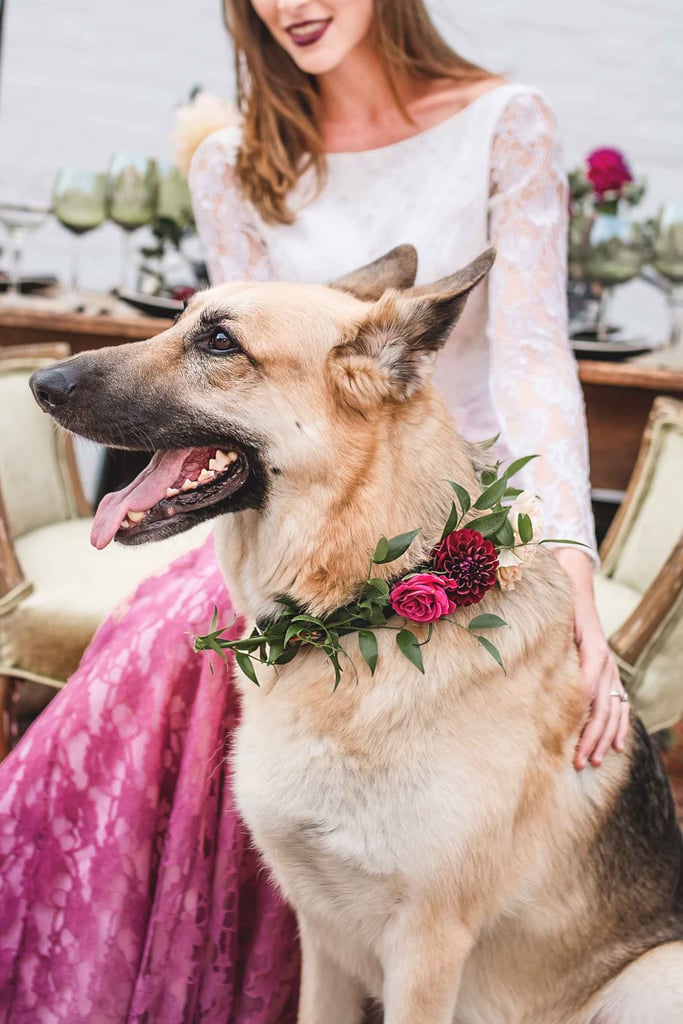 Dogs in Weddings