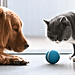 Interactive Ball For Pets