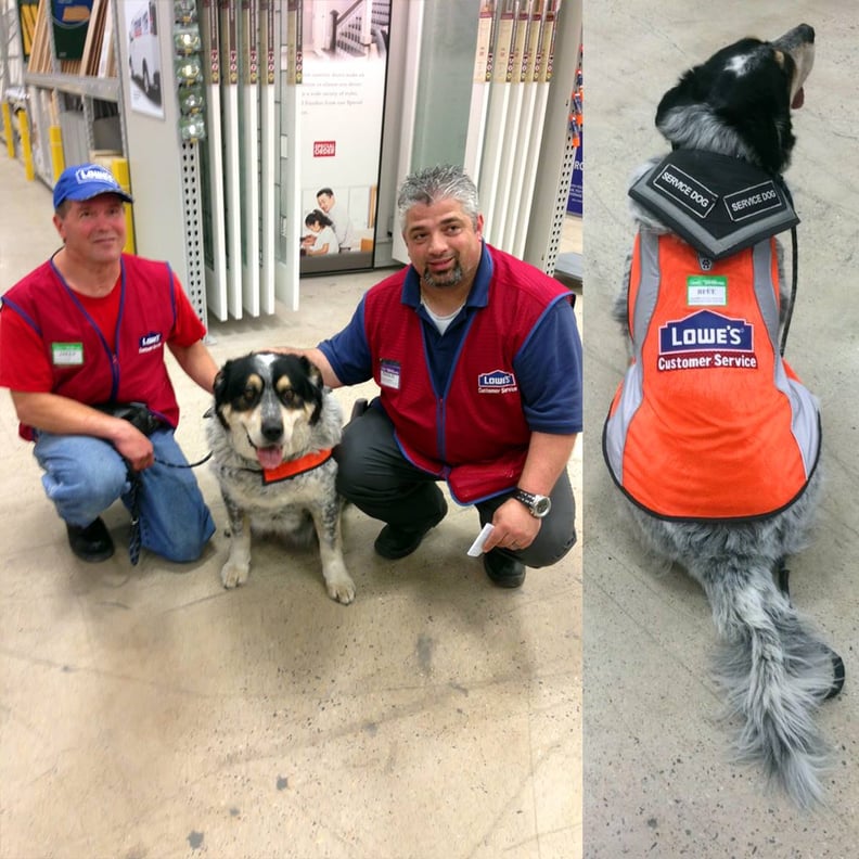 Lowes shop dog tags