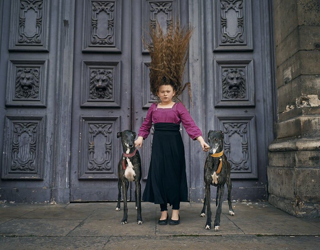 Robin Schwartz, Paris Greyhound Hair, Belle de Nuit, and Pioute Van Guard Mattenet, 2010, from Amelia and the Animals (Aperture, 2014)
