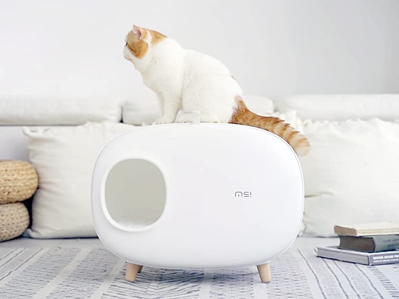 MS Cat Litter Box