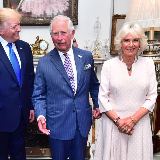 Camilla Winking During President Trump Meeting Video