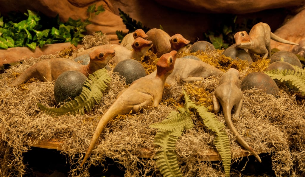 Dinosaur Trail (Montana) Attractions For Kids and Families Around USA