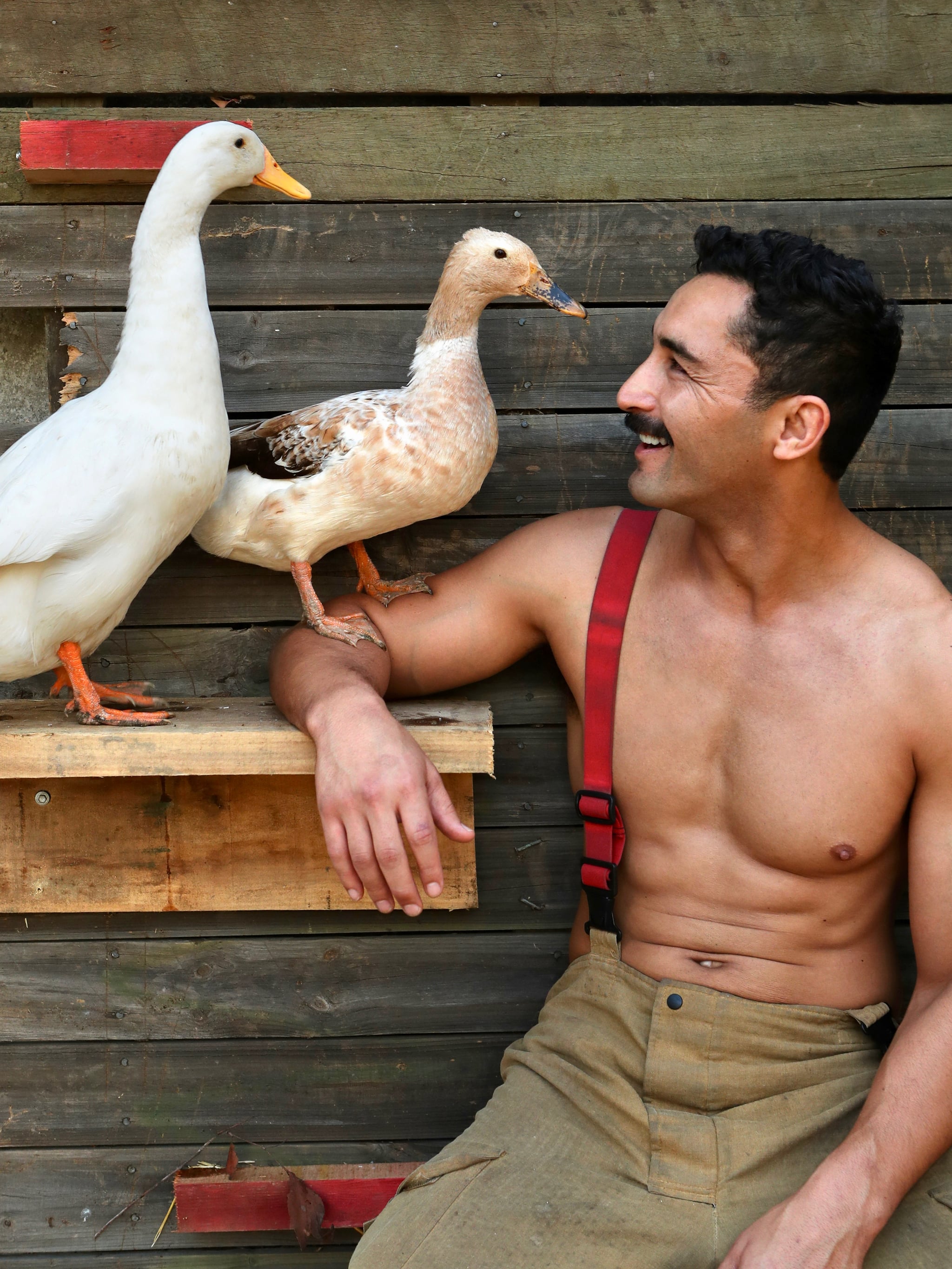Photos Of Shirtless Australian Firefighters Baby Animals