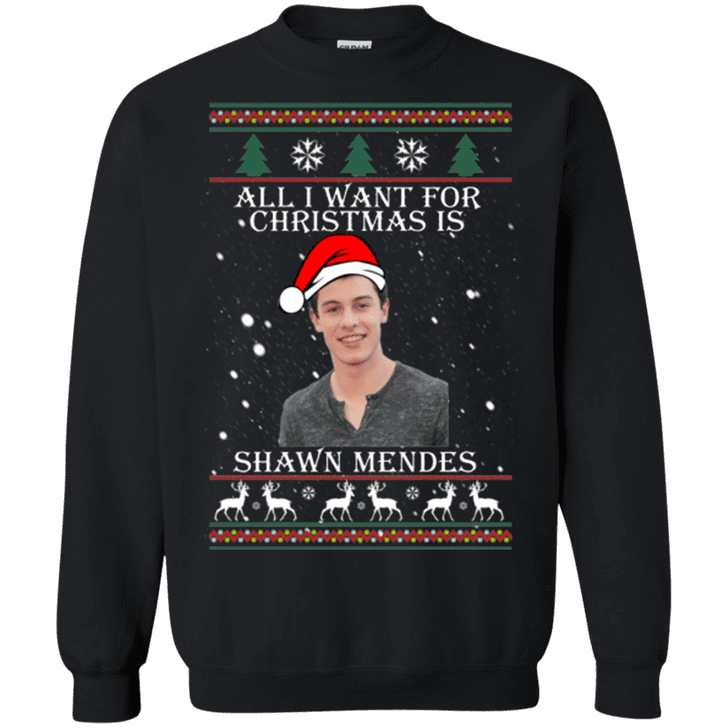 Shawn mendes store ugly christmas sweater