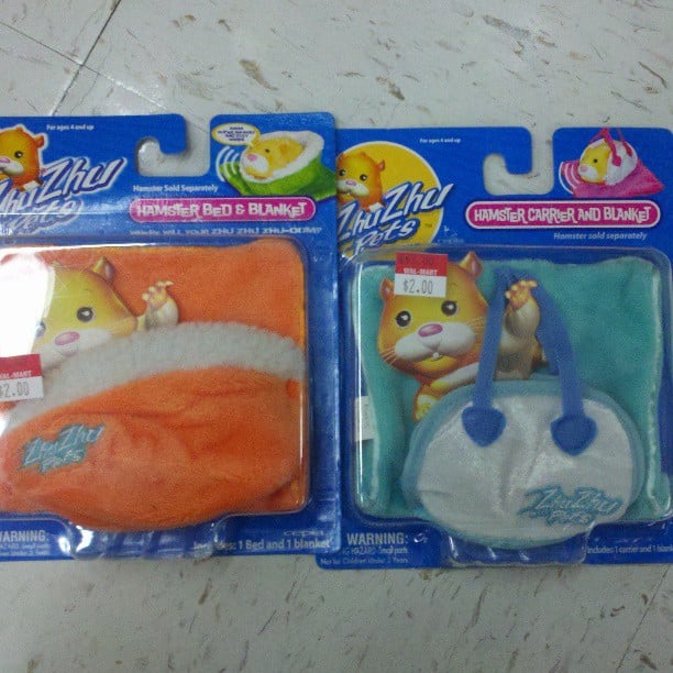Hamsters Have Places to Go and People to Meet, Too