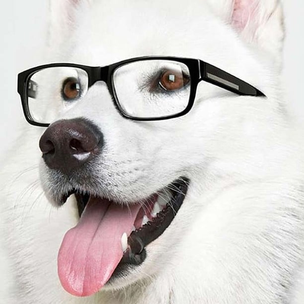 Lookin' Good Lookin' Good