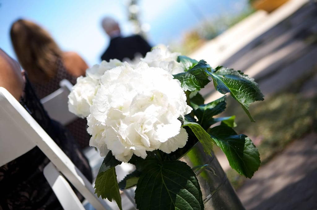 Big Outdoor Wedding
