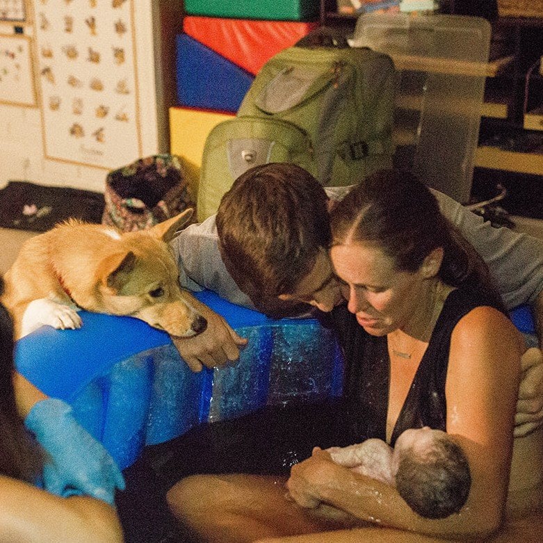When this corgi helped his mom give birth.