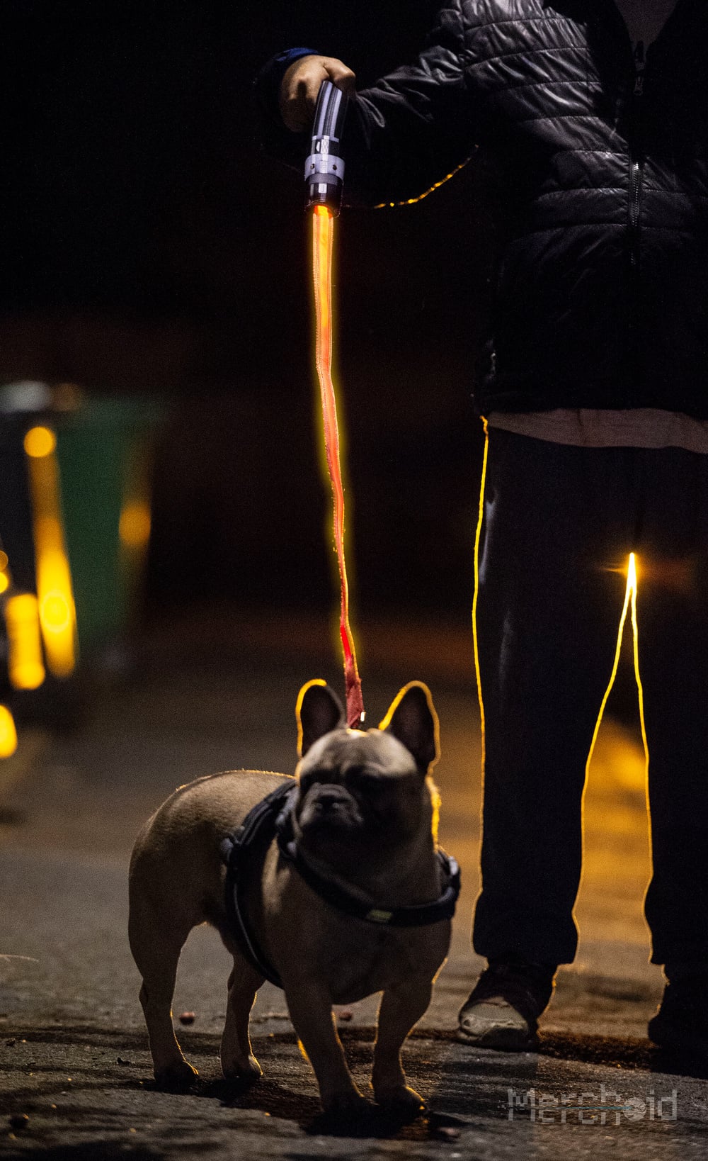 Lightsaber dog sale lead