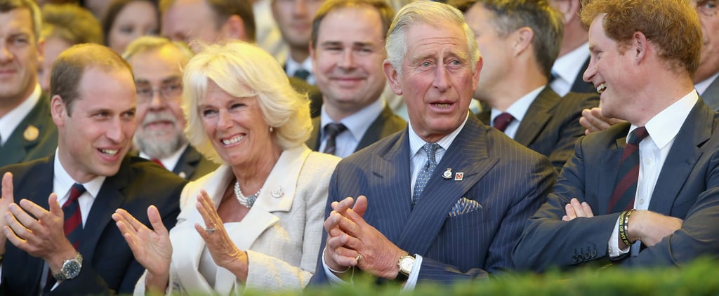 Do Prince William and Prince Harry Get Along With Camilla?