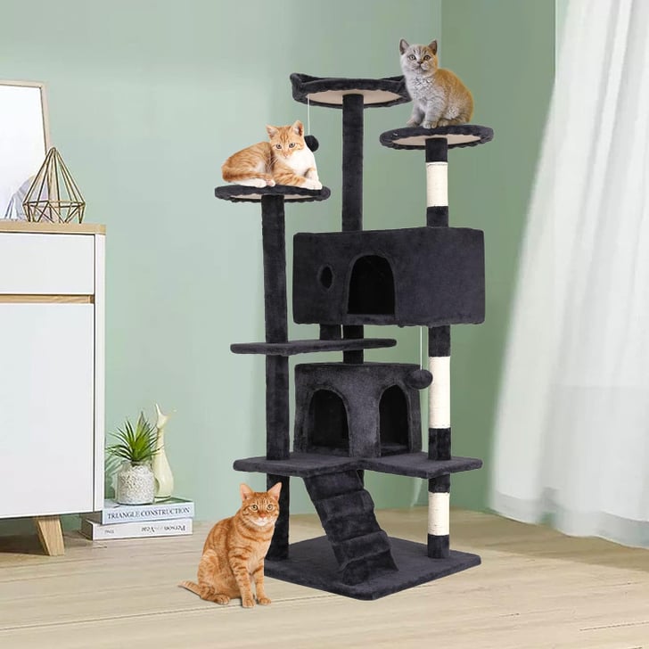 Amazon Pet Day Sale