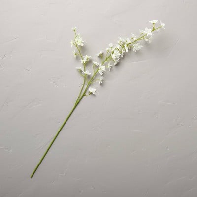 白色花朵飞燕草茎
