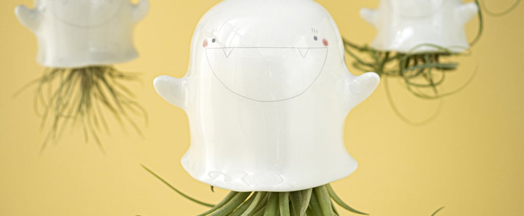 Shop Etsy's Ghostly Air-Plant Holders (They're Adorable)