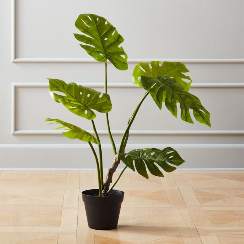 Bonnie: Faux Potted Monstera Plant