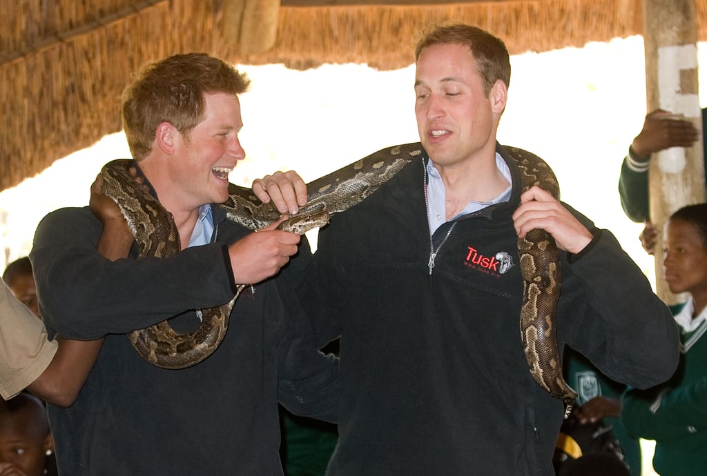 Harry and William played up to the cameras with a 16-foot-long rock python during their tour of Botswana in 2010.