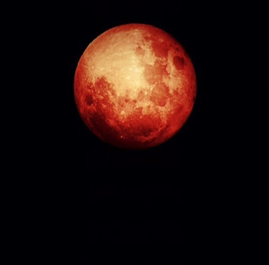 October 2014 Blood Moon Photo