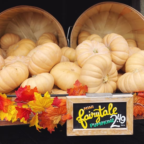 Trader Joe's Has Big and Small Pumpkins For 2021 Fall Decor