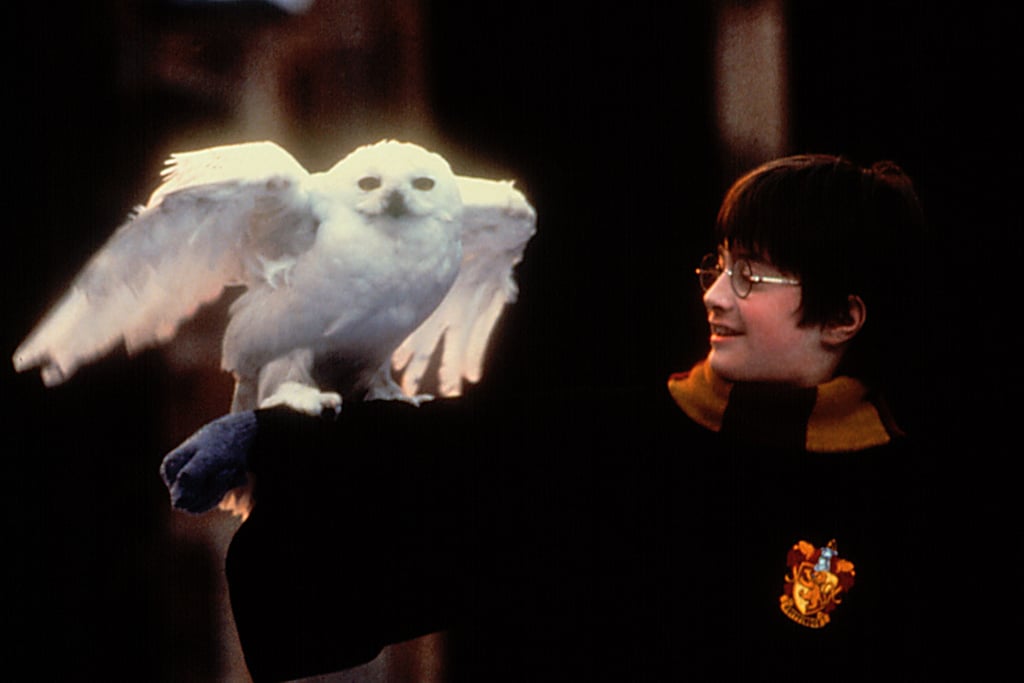Not-Scary Halloween Movies: "Harry Potter and the Sorcerer's Stone"