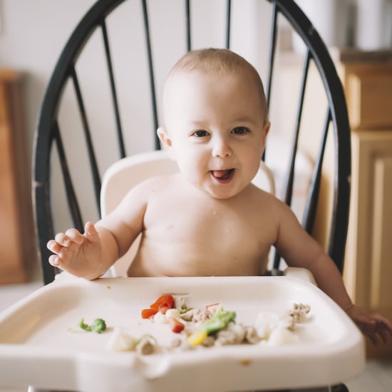 Baby-Led断奶食品:一个初学者的指南