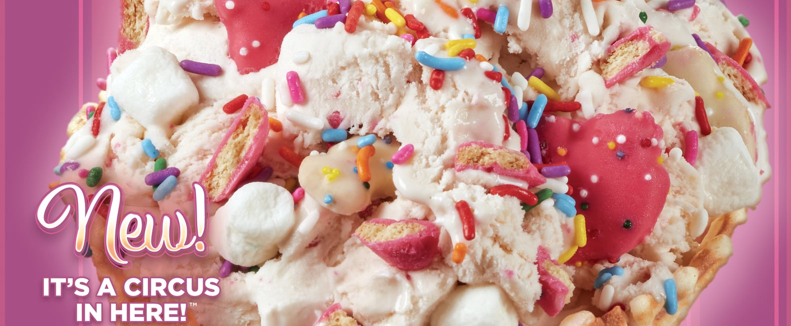 Cold Stone Circus Animal Cookie and Golden Oreo Ice Cream POPSUGAR Food