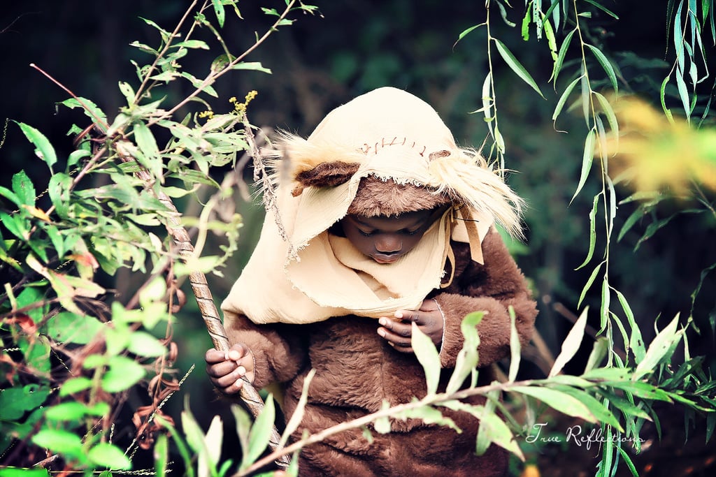Ewok