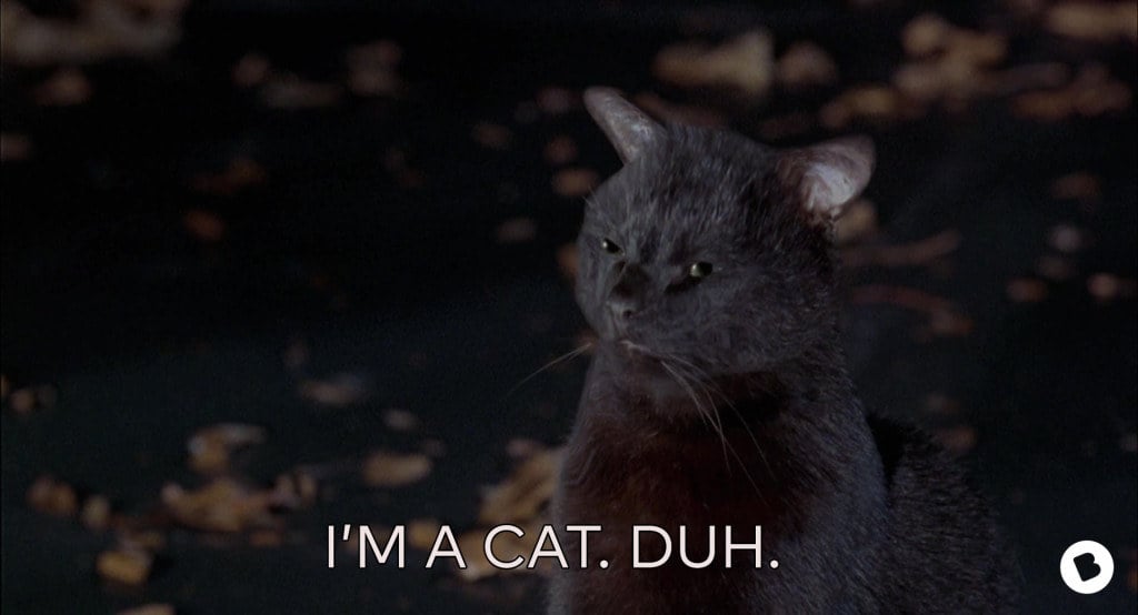 Source: Beamly, Disney
