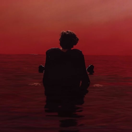 Harry Styles "Sign of the Times" Song