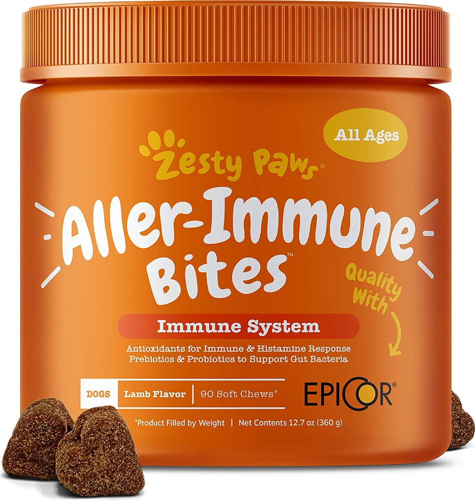 Allergy Immune Supplements for Dogs