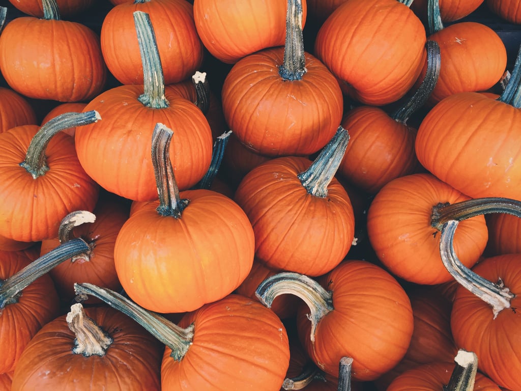 Sugar Pie Pumpkin