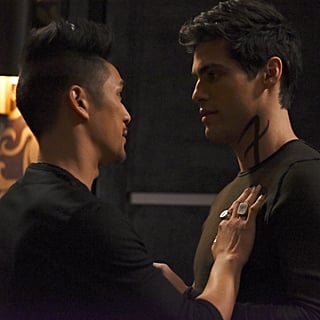 Magnus and Alec, Shadowhunters