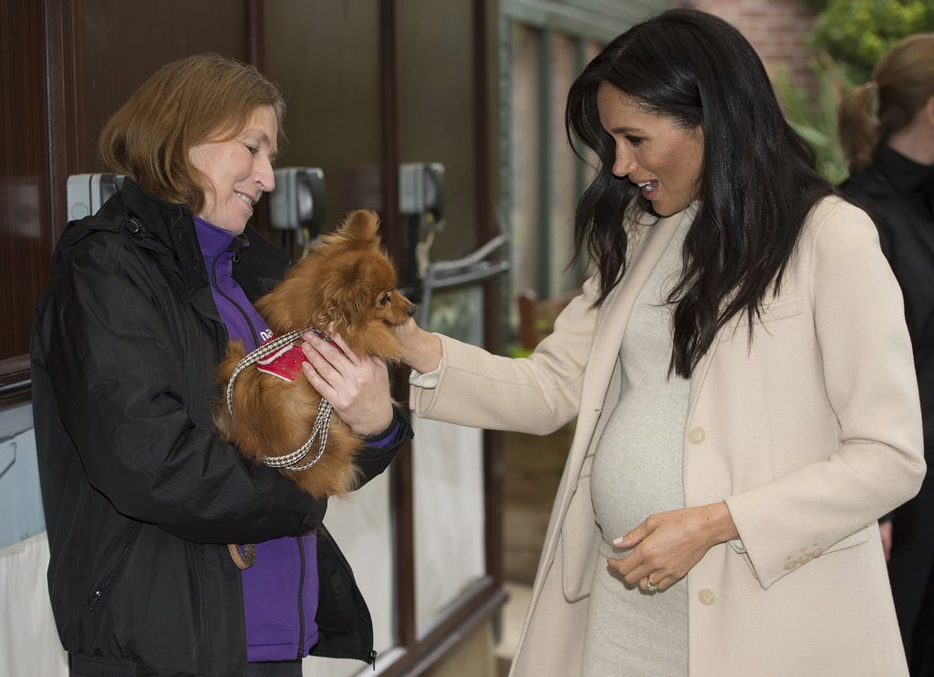 Meghan Markle's H&M Dress at Mayhew Visit January 2019