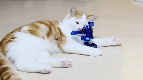 "There there, robot." | Funny Cat GIFs | POPSUGAR Tech Photo 46