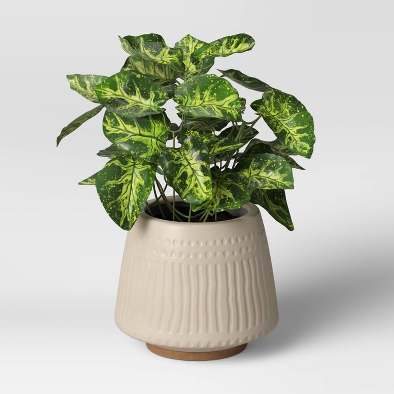 A Textured Ceramic Planter Pot