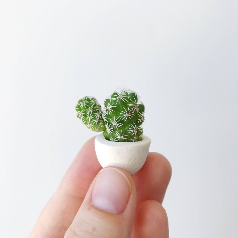 Mini Cactus and Mini Planter