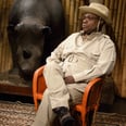 Tracy Morgan Brings Back Brian Fellow's Safari Planet and His Lip Gloss