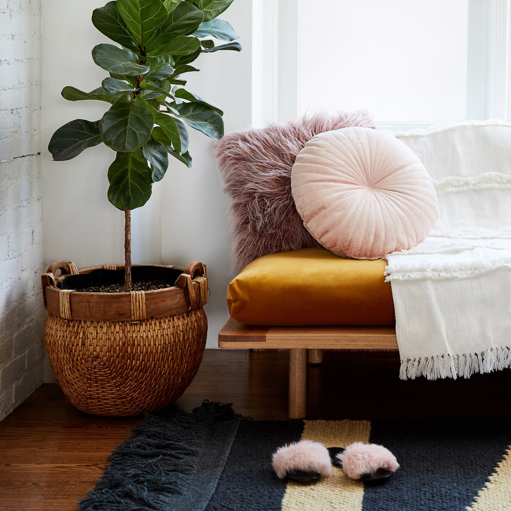 Mainstays online canopy bed