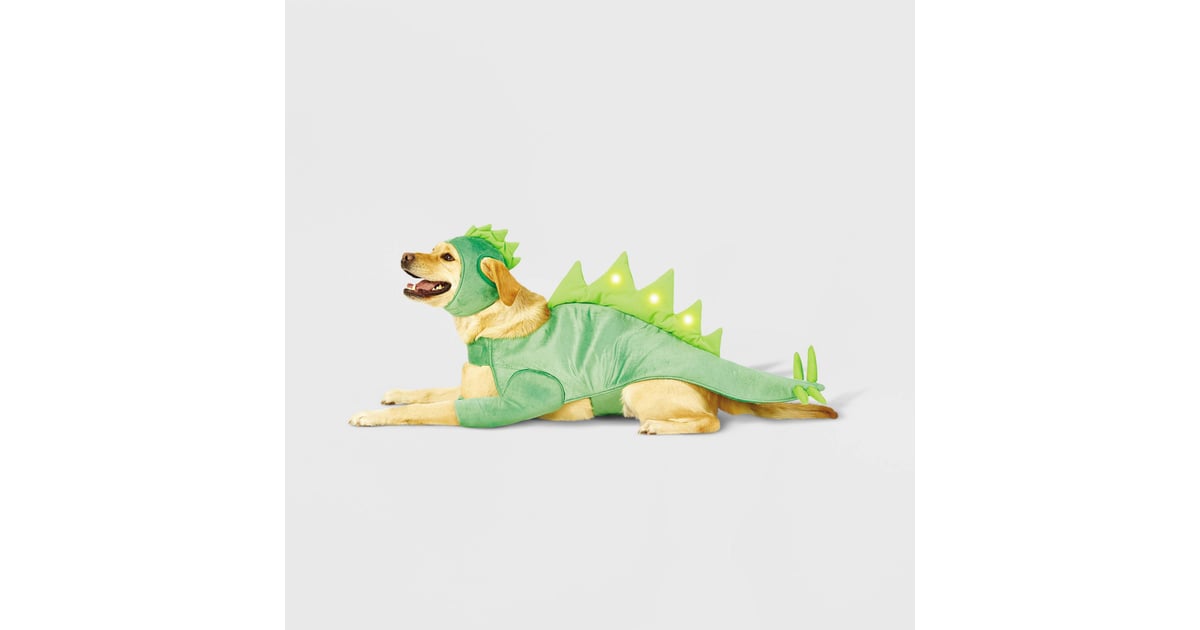 A Dinosaur Hyde & EEK! Boutique LED Stegosaurus Dinosaur Dog and Cat